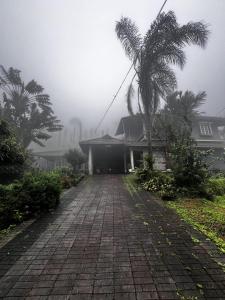 Mass Bungalow