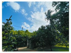 White Lotus Holiday Resort