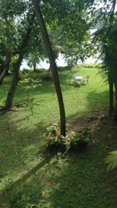 Madampa Ganga Villa.