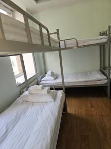 Urban Nomads Hostel and Tours