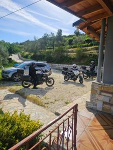 Guest House Pashollari