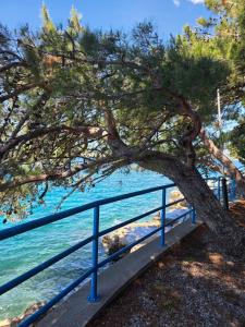 Beachfront Villa Amfora with Pool