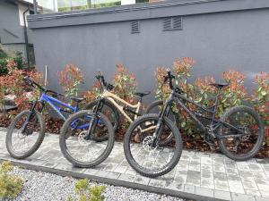 Willa Nowa 33
