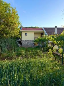 Country House Djurisic