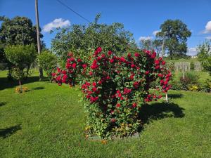 La Corte Delle Rose UB