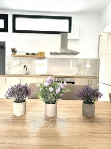 DK Sitia Elegance Residence