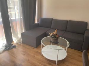 apartment Radost