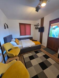 Tiny House Colibita