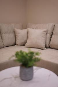 Dionis Garden Suite