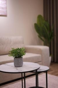 Dionis Garden Suite