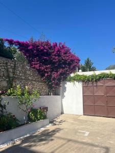 Aphrodite Apartments