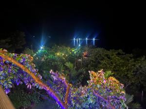 Kala view homestay