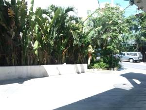 PB Resort