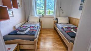 ZellamSee Aktiv