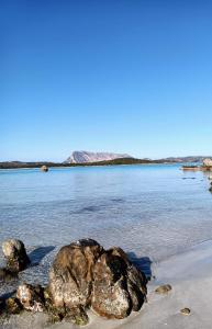 Villa Ambra - Jacuzzi & beach img29