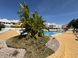 Dunas Sea & Sun Alvor