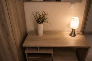 Central Apartment