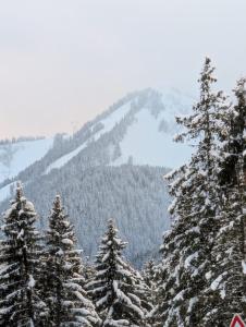 Les Portes du Soleil Studio