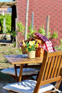 Moments in Nature Vineyard Bungalows Pool & Jacuzzi