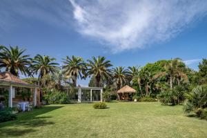Hotel Simius Playa img1