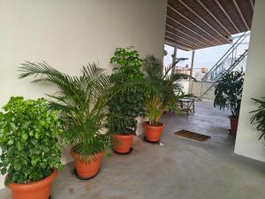 Aakruthi Homestay