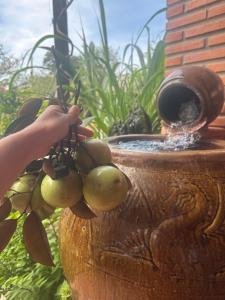 Thusan House - Mekong Homestay