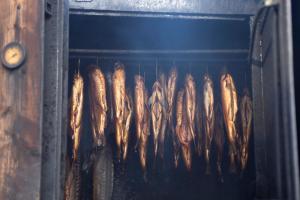 Gościniec Salmopolski