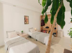Finca Tenerife Villa Amagente