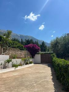 Aphrodite Apartments
