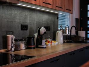 Luxury Apartment Filiposki 1