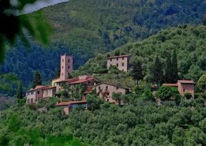 Peralta Tuscany