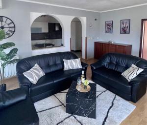 Apartment Novigrad Centre