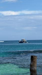 Bintangleft mentawai
