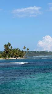 Bintangleft mentawai