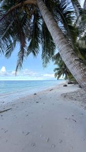 Bintangleft mentawai