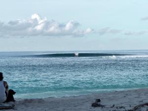 Bintangleft mentawai