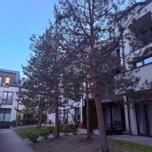 Apartamentai prie baseino