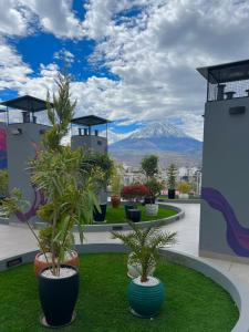 Condo Apartment Suite Misti Volcano View