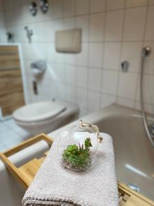 Haus Sonnenwinkel 2-Raum-Wohnung Großer Ochsenkopf