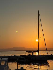 Selce Seaside Apartment