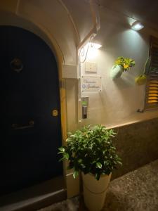 Chianalea Guesthouse