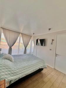 Montemar406