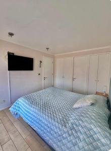 Montemar406