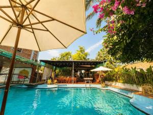 Gecko Backpackers Hostel