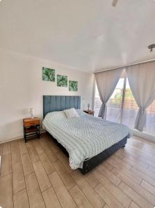 Montemar406