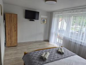 Apartament BIAŁA SKAŁA