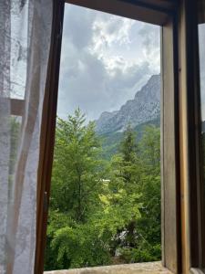 natyra balcony