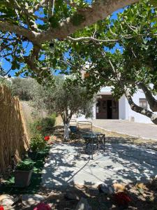Eunoia Syros Suites