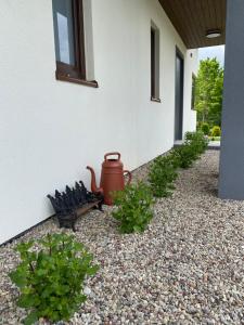 Białe Żagle Mazury