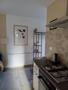Apartman Ines